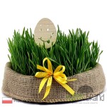 Eko Topper JAJKO buźka TPWI14